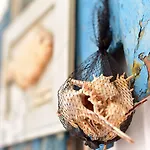 Oda ve Kahvaltı Mercearia D'alegria Boutique Peniche