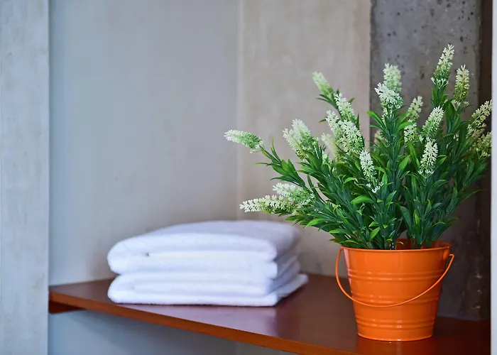 Mercearia D'alegria Boutique 住宿加早餐酒店 3*